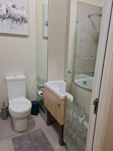 uma casa de banho com um WC, um chuveiro e um lavatório. em Modern One Bedroom Apartment in Rivonia em Joanesburgo