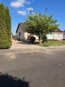 a house with a tree next to a street at Charming 2 bed house Perfect base for sightseeing in Johnstone