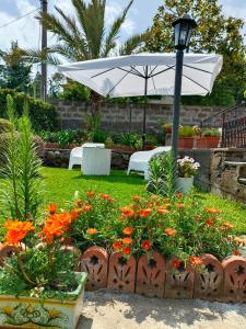 Zahrada ubytování Villa Sant'Andrea