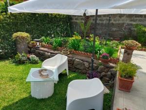 Zahrada ubytování Villa Sant'Andrea