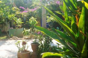 Fotografie z fotogalerie ubytování Bungalow La Media Luna Brisas de Zicatela v destinaci Brisas de Zicatela