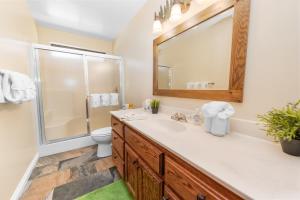 大贝尔城Moose Tracks Lodge - Forest and mountain views! Smart TV with streaming app and Game Room!的带水槽、马桶和镜子的浴室