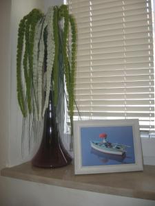 Fotografie z fotogalerie ubytování Nena City Center Apartment v destinaci Zadar