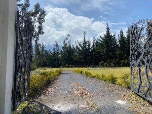 an open gate to a dirt road through a field at San Fernando de la Cruz in Riobamba