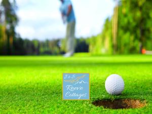 una pallina da golf nell'erba accanto a un cartello di Waterfront Cottage 4 a Riverhead