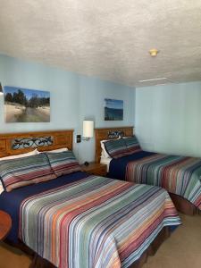 two beds in a room with blue walls at M22 Inn Glen Arbor in Glen Arbor