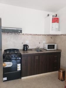 a kitchen with a stove and a microwave at Luminoso dpto con wifi in San Luis