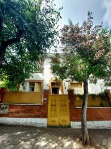 a tree with yellow doors in front of a building at N1 Casa de Madrid - greenpeace line in Madrid