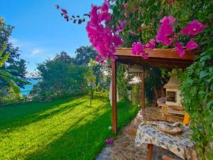 A garden outside Miloni Studios