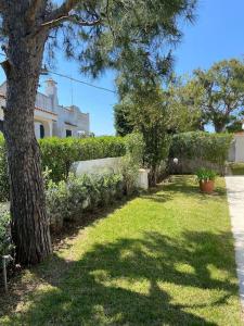 Foto dalla galleria di villa a Marina di Ostuni a Ostuni