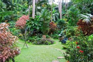 a garden with many plants and trees and a pathway at West Coast 1 Bedroom Apartment 66 - Close to beach in Saint James
