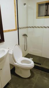 y baño con aseo y ducha. en Cabaña en Coñaripe Sector Termas Geométricas en Coñaripe