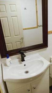 lavabo en el baño con un espejo grande encima. en Cabaña en Coñaripe Sector Termas Geométricas en Coñaripe