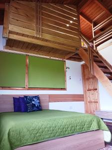 a room with a green bed and a green screen at LA LIVADA in Valea Danului