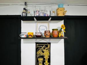 a shelf with skulls and other items on it at Habitación Roma in Mexico City