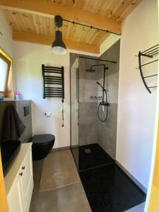 a bathroom with a shower with a toilet and a sink at Physio House Sokolik in Komarno