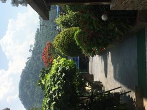 宾馆周边自然景观