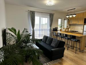 a living room with a couch and a kitchen at Apartament Elena in Sibiu