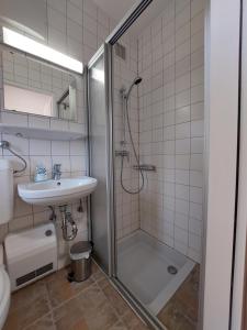 uma casa de banho com um chuveiro e um lavatório. em Ferienwohnung Kutrowatz em Rohrbach bei Mattersburg