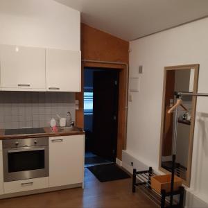Kuchyň nebo kuchyňský kout v ubytování Studio in Kaunas City