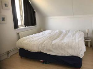 Een bed of bedden in een kamer bij Villa aan water Sneekermeer Terherne met fietsen.