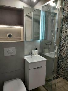 Koupelna v ubytování Mila