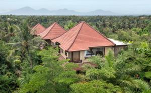 Sakti Garden Resort & Spa في أوبود: منزل في وسط غابة فيها اشجار