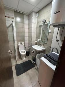 La petite salle de bains est pourvue de toilettes et d'un lavabo. dans l'établissement Apartmani Matic 6, à Jagodina