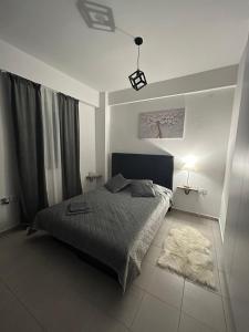 1 dormitorio con cama y alfombra en el suelo en Apartmani Matic 6, en Jagodina