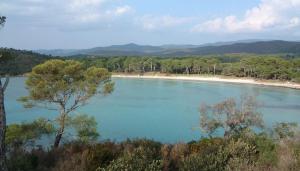 widok na plażę i zbiornik wodny w obiekcie Studio à 50 m de la plage et du sentier littoral w Hyères