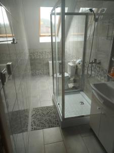 een badkamer met een douche, een toilet en een wastafel bij Domki u Huberta - Soblówka 176 in Sablówka