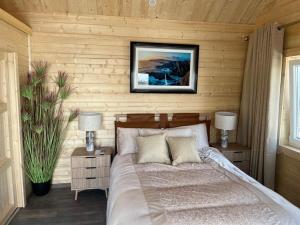 a bedroom with a bed with two tables and two lamps at Milltown House Dingle in Dingle