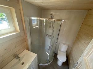 a bathroom with a shower and a toilet at Milltown House Dingle in Dingle