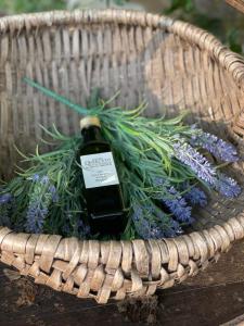 Gallery image of Agriturismo Podere Querceto in Borselli