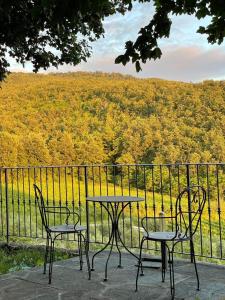 2 stoelen en een tafel op een balkon met uitzicht bij Agriturismo Podere Querceto in Borselli