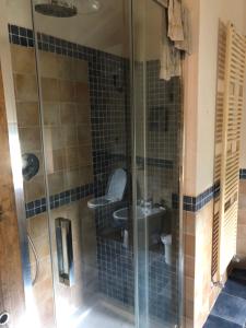 a bathroom with a toilet and a glass shower at Agriturismo Podere Querceto in Borselli