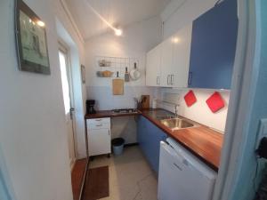 Elle comprend une petite cuisine avec des placards bleus et un évier. dans l'établissement Studio apartment in Bargemon, à Bargemon