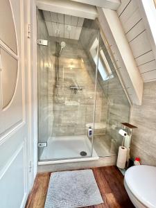 a bathroom with a shower and a tub with a toilet at Gemütliche Maisonettewohnung mit Dachterrasse am Schloß in Oldenburg