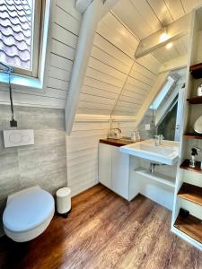 een badkamer met een toilet en een wastafel bij Gemütliche Maisonettewohnung mit Dachterrasse am Schloß in Oldenburg