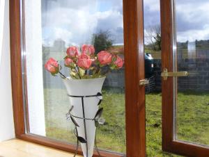 Zahrada ubytování Wild Atlantic Haven, cosy home nr. Ballina & Beach + 31 fotografií