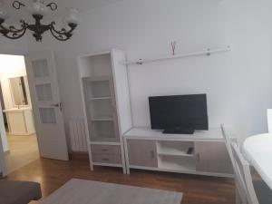 TV a/nebo společenská místnost v ubytování Piso Rey Daviña.