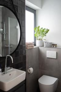 a bathroom with a sink and a toilet and a mirror at 1-Zimmer-Appartement, beste Lage in Oberkotzau