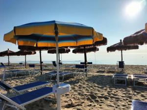 eine Gruppe Liegestühle und Sonnenschirme am Strand in der Unterkunft Discover Tortoreto in Tortoreto Lido