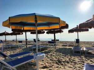 a group of beach chairs and umbrellas on a beach at Discover Tortoreto in Tortoreto Lido +208 photos