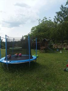 a blue trampoline in the grass in a yard at 7-gîte-7 personnes au cœur de la nature /piscine in Saint-Aubin-de-Nabirat