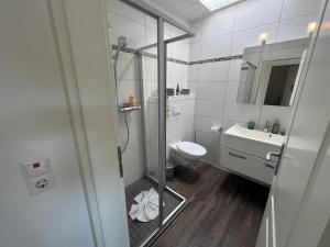 Koupelna v ubytování Hooge Hörn Bantje Wohnung 3