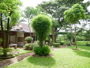 a garden with a palm tree in front of a house at Pala-U Garden Home (Time Pala-U) in Ban Pa Lau