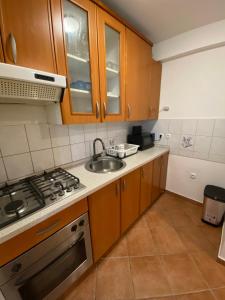 a small kitchen with a stove and a sink at Ada Apartment in Ljubljana
