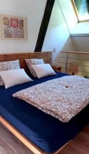 a bedroom with two beds with blue sheets and a window at Herbes et collines in Winkel
