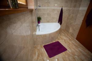 Koupelna v ubytování AG Apartment Gabčíkovo